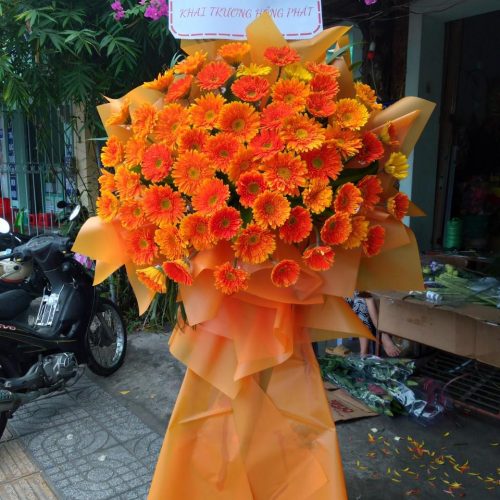 hoa tươi dĩ an